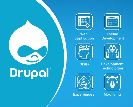 Drupal Developer in Noida