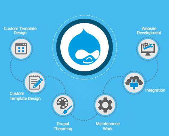 Drupal Development Services in Noida