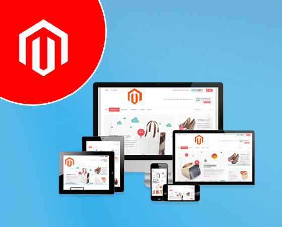 Best Magento Developer in Noida