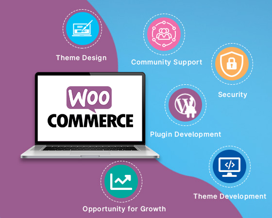 Ecommerce Developer in Noida