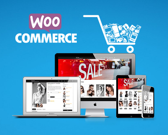 Ecommerce software development company in Noida