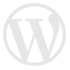 Best WordPress Developer in Noida